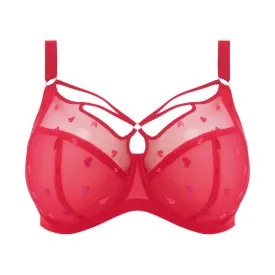 Sachi Plunge Bra